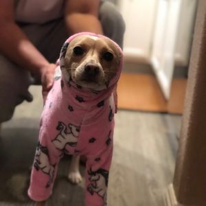 Meet your Posher, Faith